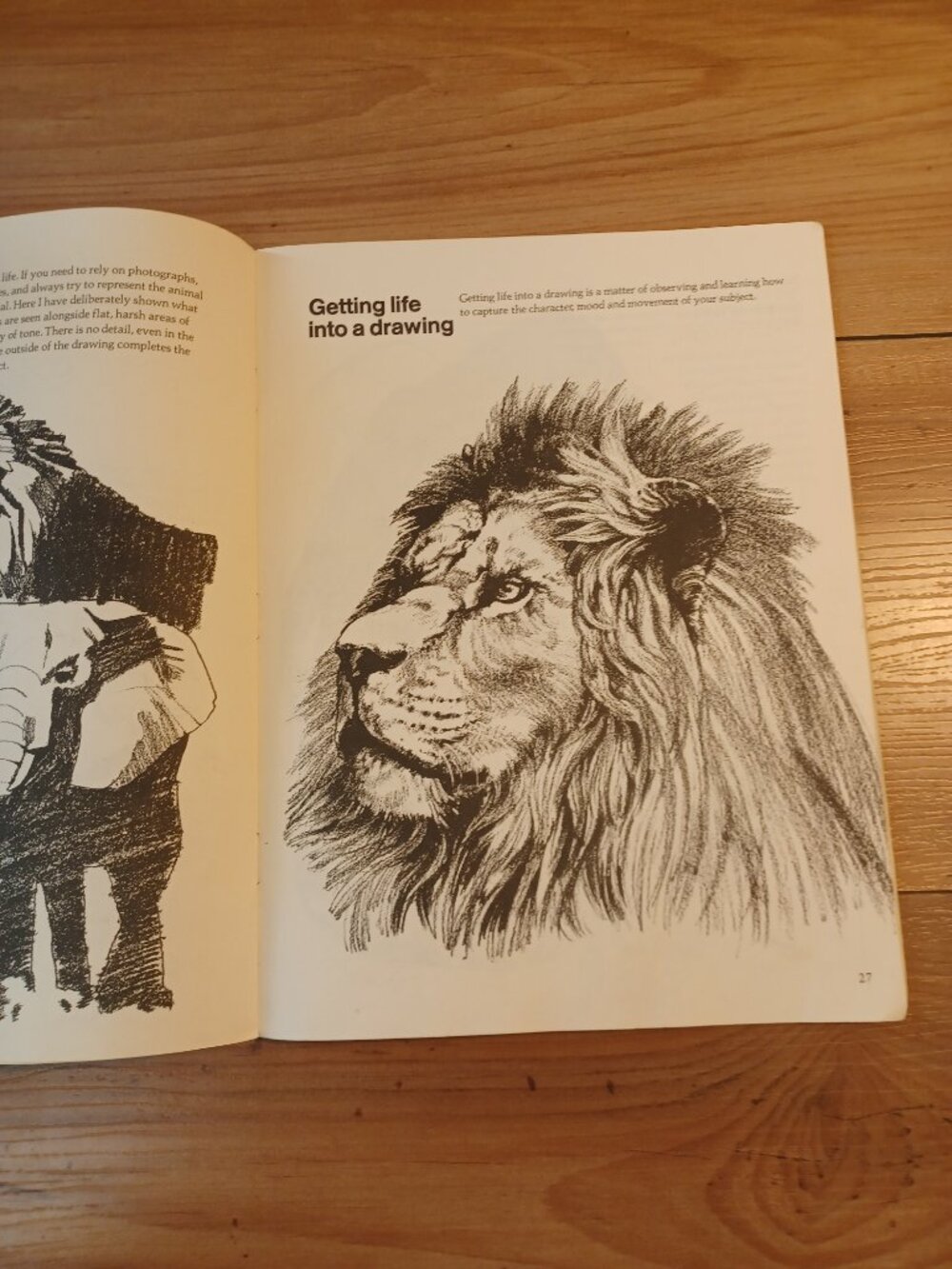 Draw Wild Animals Book - Picture 10 of 11